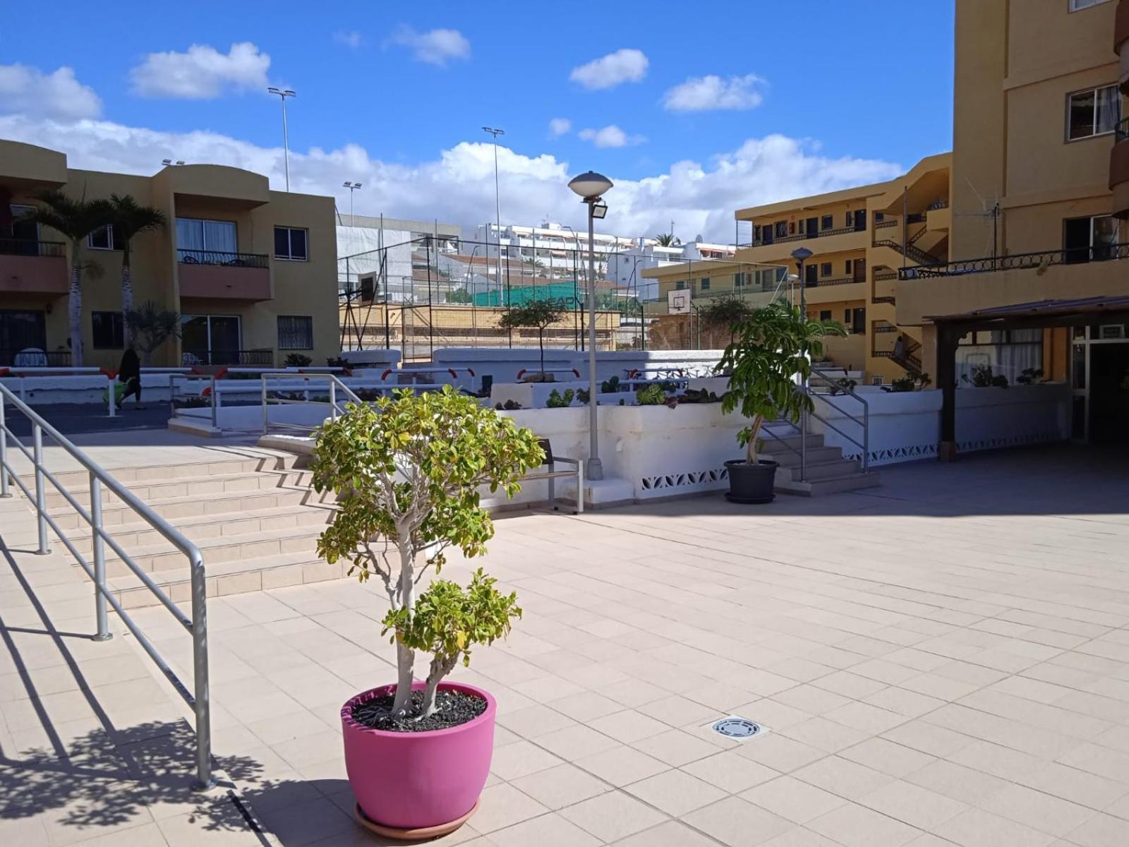 Firstline Apartment Los Cristianos 아로나 외부 사진